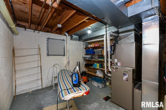 unfinished basement featuring concrete block wall