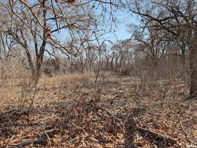 view of local wilderness