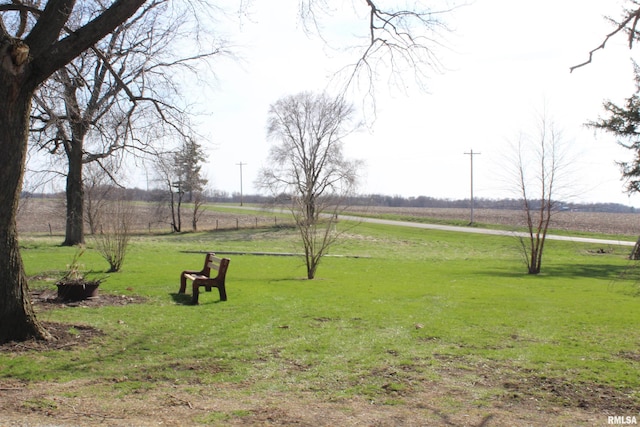 view of yard with a rural view