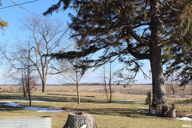 view of yard featuring a rural view