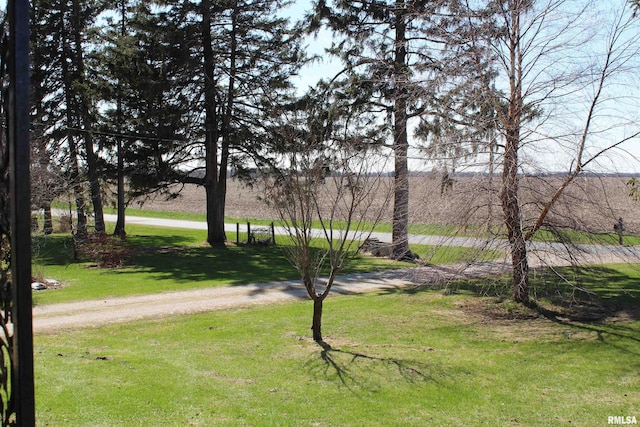 view of property's community with a lawn