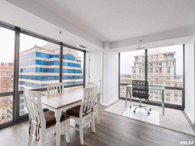 dining space with baseboards, a textured ceiling, a healthy amount of sunlight, and wood finished floors