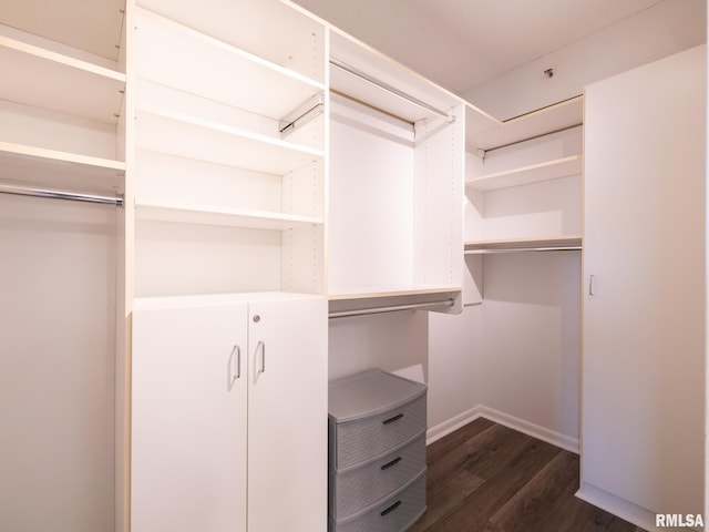 spacious closet with dark wood-type flooring