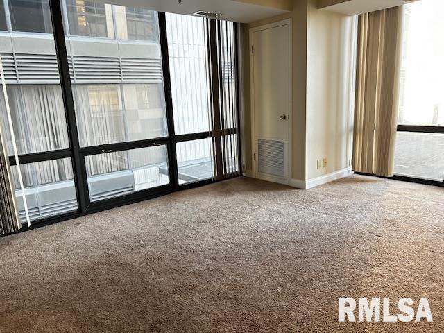 125 SW Jefferson Ave Unit W2N, Peoria, IL 61602