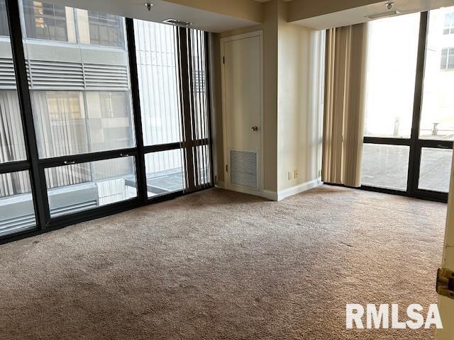 125 SW Jefferson Ave Unit W2N, Peoria, IL 61602