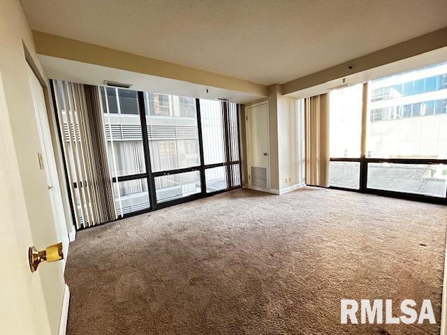 125 SW Jefferson Ave Unit W2N, Peoria, IL 61602
