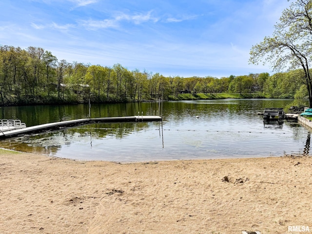 10 Locust Grove Ct, Groveland, IL 61535 - dock area featuring a view of trees and a water view