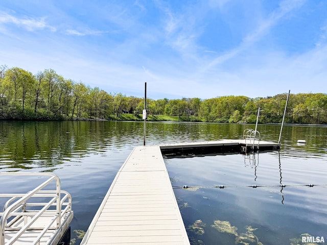 10 Locust Grove Ct, Groveland, IL 61535 - dock area with a water view and a wooded view