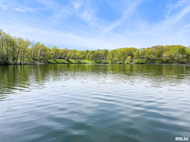 10 Locust Grove Ct, Groveland, IL 61535 - view of water feature with a wooded view