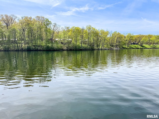 10 Locust Grove Ct, Groveland, IL 61535 - view of water feature