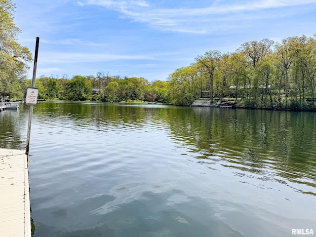 10 Locust Grove Ct, Groveland, IL 61535 - property view of water featuring a dock
