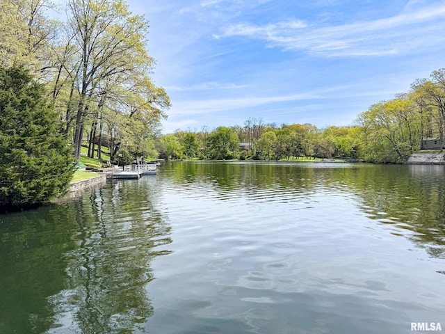10 Locust Grove Ct, Groveland, IL 61535 - view of water feature