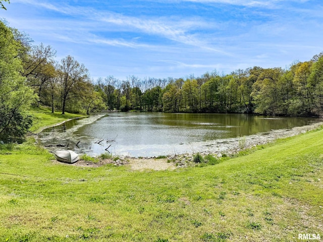 10 Locust Grove Ct, Groveland, IL 61535 - water view with a wooded view