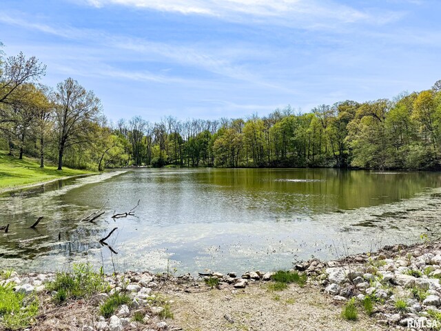 10 Locust Grove Ct, Groveland, IL 61535 - water view featuring a wooded view