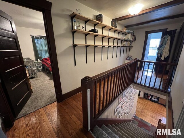 822 S Mcarthur St, Macomb, IL 61455 - living room featuring hardwood / wood-style floors and a ceiling fan