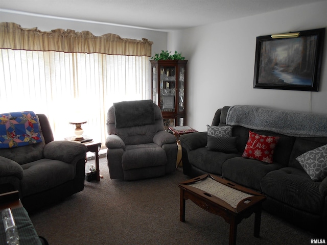 4 Hiel Dr, Bushnell, IL 61422 - living room with carpet flooring