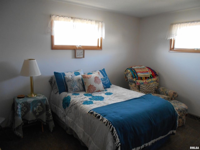 4 Hiel Dr, Bushnell, IL 61422 - bedroom with carpet floors