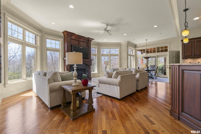1801 Kern Rd, Washington, IL 61571 - living area with a ceiling fan, ornamental molding, healthy amount of natural light, wood-type flooring, and a fireplace