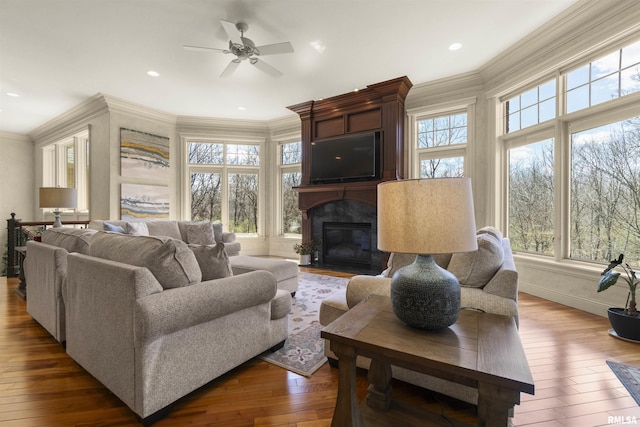 1801 Kern Rd, Washington, IL 61571 - living room with wood-type flooring, a ceiling fan, ornamental molding, and a high end fireplace
