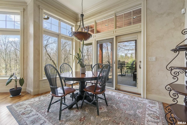 1801 Kern Rd, Washington, IL 61571 - dining room with plenty of natural light, wood finished floors, baseboards, and ornamental molding