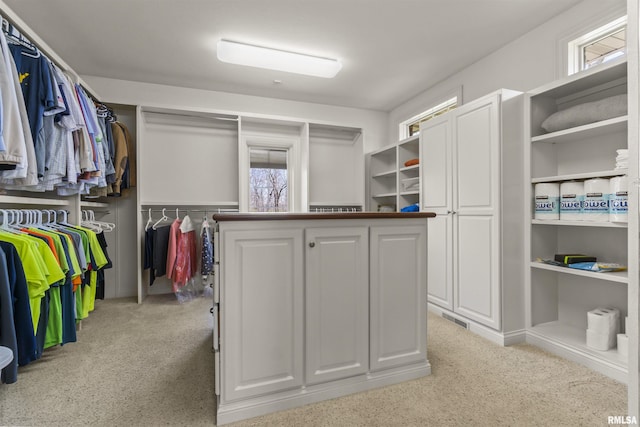 1801 Kern Rd, Washington, IL 61571 - walk in closet featuring light colored carpet