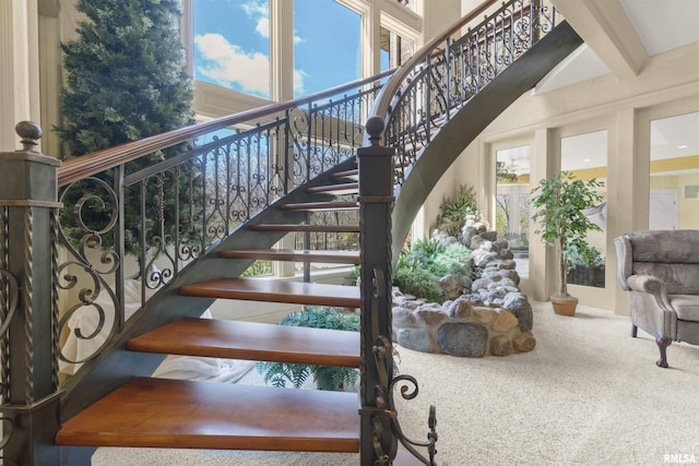 1801 Kern Rd, Washington, IL 61571 - stairs featuring carpet and healthy amount of natural light