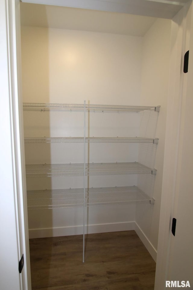 106 Samuel Ct, Washington, IL 61571 - view of pantry