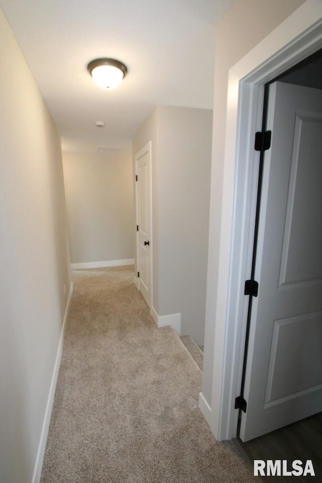 106 Samuel Ct, Washington, IL 61571 - hallway with carpet flooring and baseboards