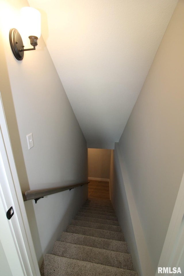 106 Samuel Ct, Washington, IL 61571 - staircase featuring carpet flooring