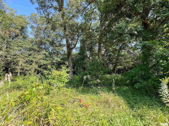 3105 Kacy Dr, Pekin, IL 61554