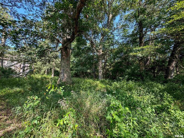 3105 Kacy Dr, Pekin, IL 61554
