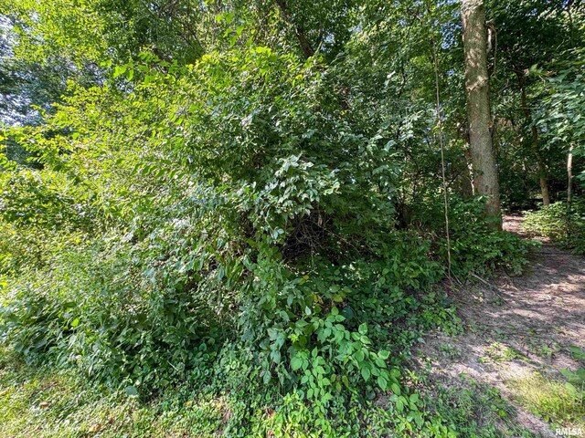 3105 Kacy Dr, Pekin, IL 61554