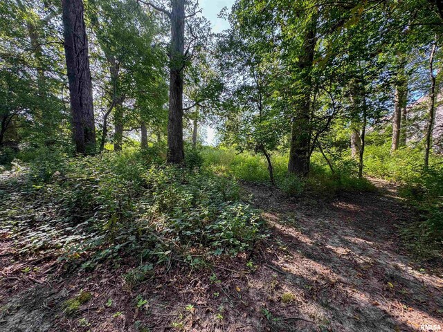 3105 Kacy Dr, Pekin, IL 61554