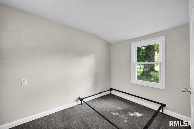 420 S Western Ave, Abingdon, IL 61410 - empty room with vaulted ceiling, carpet, and baseboards