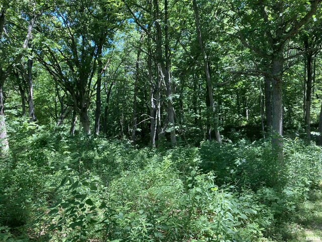 000 W Singing Woods Rd, Edelstein, IL 61526