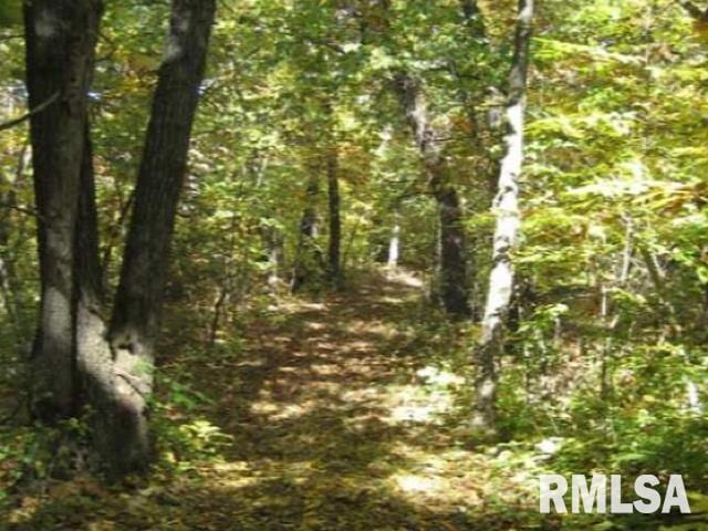 000 W Singing Woods Rd, Edelstein, IL 61526