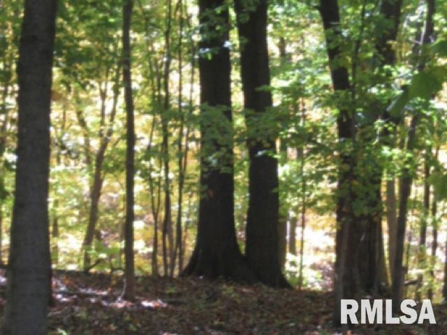000 W Singing Woods Rd, Edelstein, IL 61526