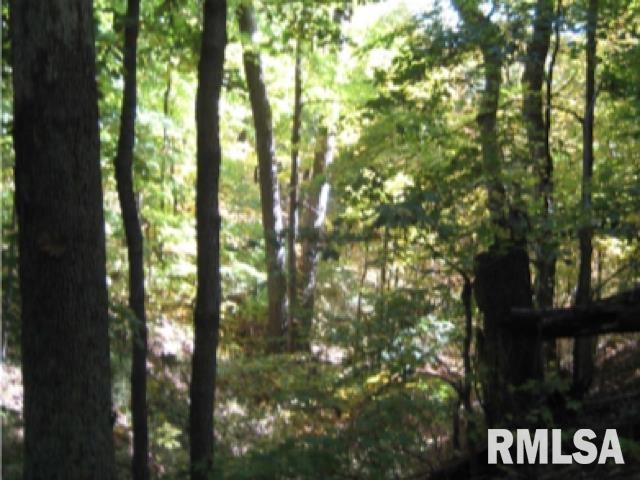 000 W Singing Woods Rd, Edelstein, IL 61526