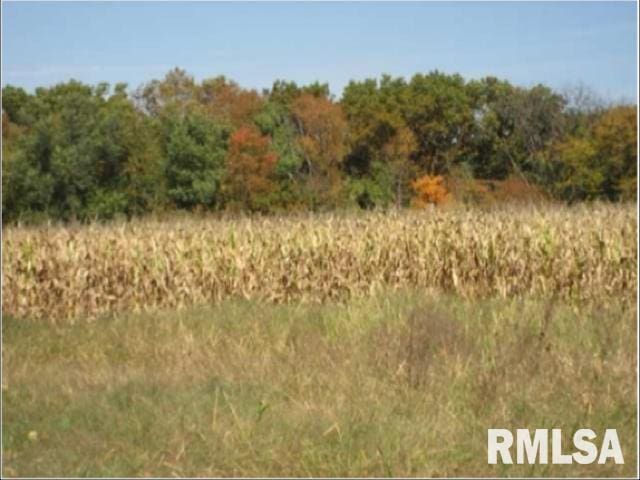 000 W Singing Woods Rd, Edelstein, IL 61526