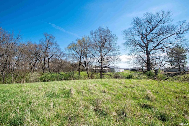 5621 S Martin Weber Rd, Glasford, IL 61533 - photo 85