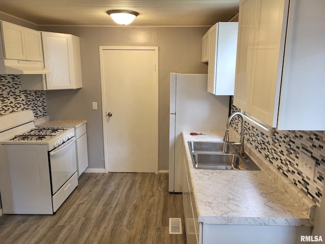 148 Robinson Ct, Canton, IL 61520 - kitchen featuring gas range gas stove, a sink, under cabinet range hood, wood finished floors, and backsplash