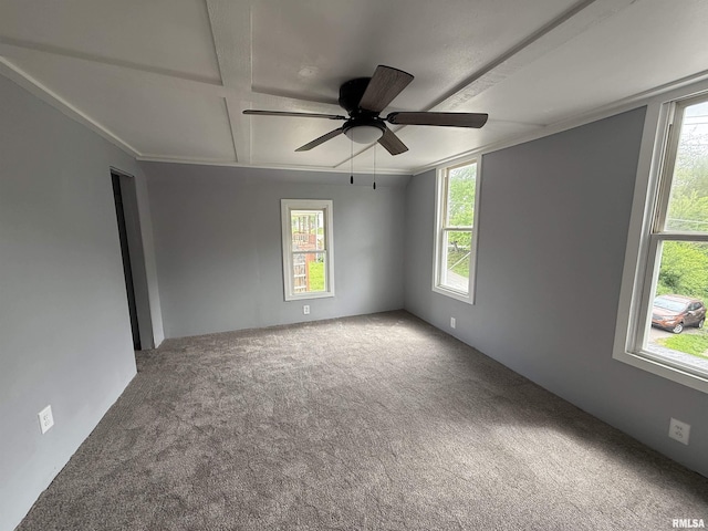 carpeted spare room featuring plenty of natural light, a ceiling fan, coffered ceiling, and beamed ceiling