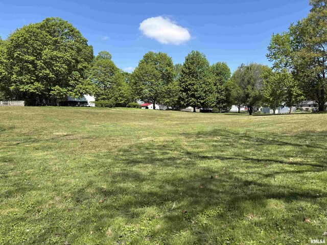 330 S Farnham St, Galesburg, IL 61401 - photo 3
