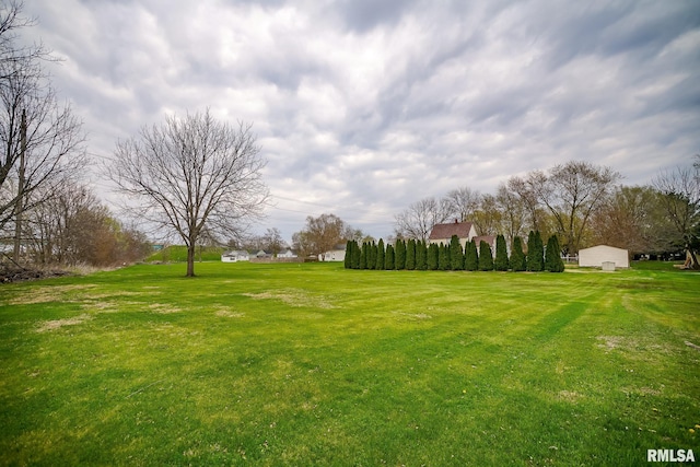 238 E Prospect St, Galesburg, IL 61401 - view of yard