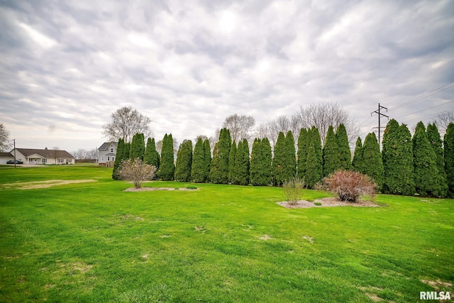 238 E Prospect St, Galesburg, IL 61401 - view of yard