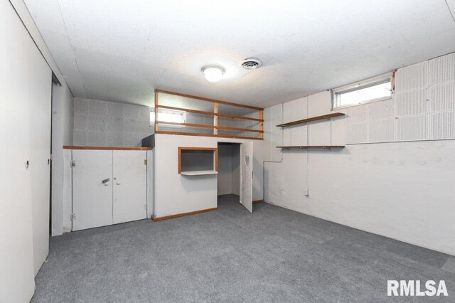 basement with carpet