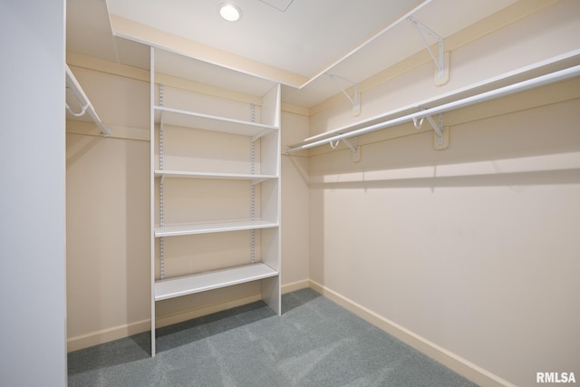 walk in closet featuring carpet