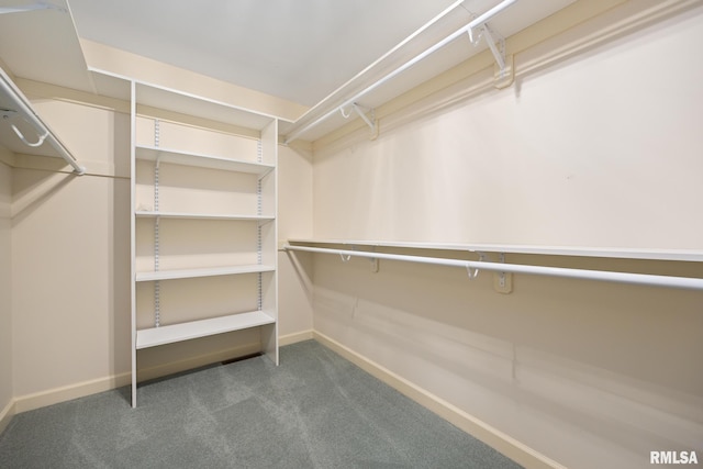 walk in closet featuring carpet floors