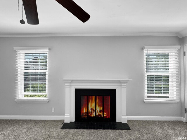 407 W Hollyridge Cir, Peoria, IL 61614 - photo 29