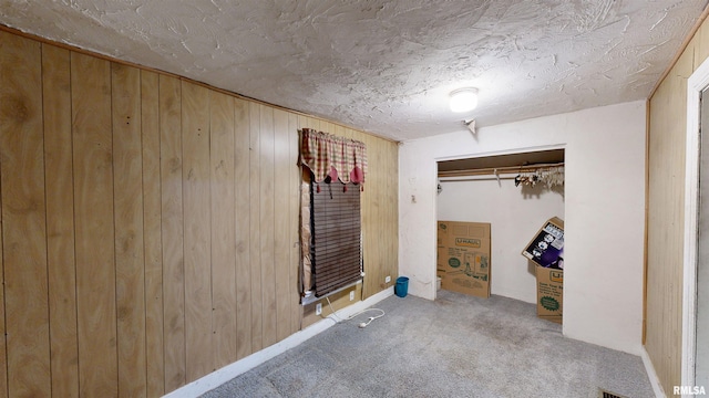 interior space with wooden walls and carpet floors